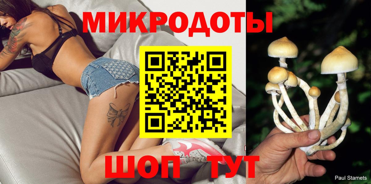 Владимир  Псилоцибиновые грибы Psilocybe  Галлюциногенные грибы MAGIC MUSHROOMS  Вход с VPN 