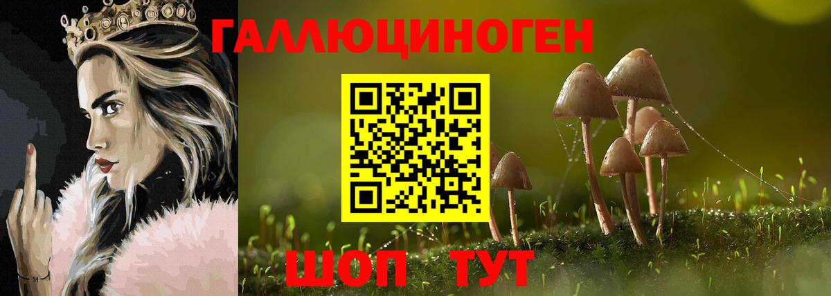 Псилоцибиновые грибы прущие грибы Владимир
